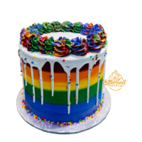 Rainbow Theme Cake(1)