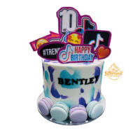 TikTok Theme Cake