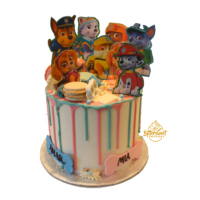 Paw Patrol Cake