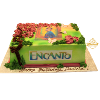 Encanto Theme Cake